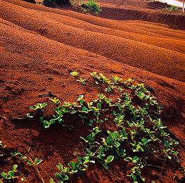 战略RPG《剑与魔法与学园任务》正式发售 Steam定价250元